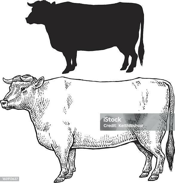 Ilustración de Bull Vaca Granja Animales y más Vectores Libres de Derechos de Animal - Animal, Blanco y negro, Concept Does Not Exist