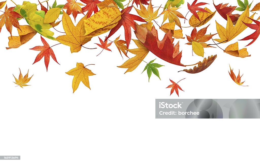 シームレスな落ちる秋の落ち葉 - かえでの葉のロイヤリティフリーストックフォト