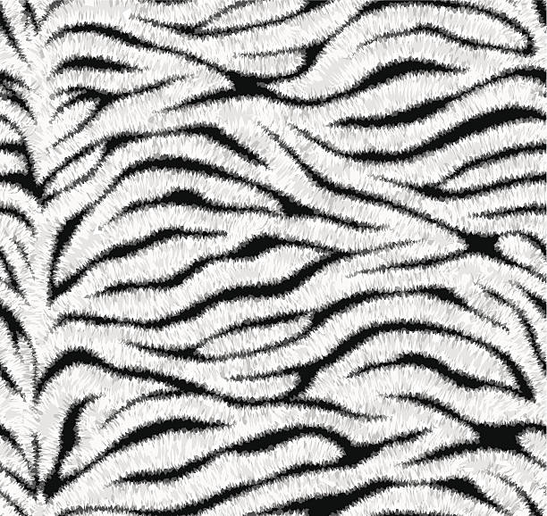 ilustrações, clipart, desenhos animados e ícones de sem costura padrão de pele de tigre branco - hairy