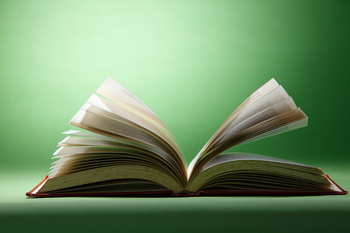 Open book isolated on green