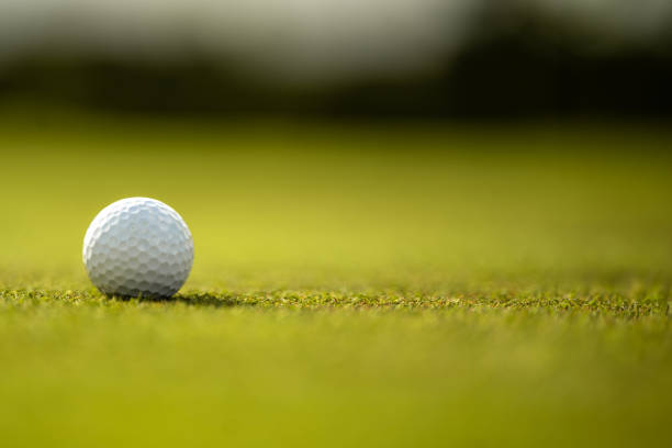 istock Golf ball on green grass 1659155579