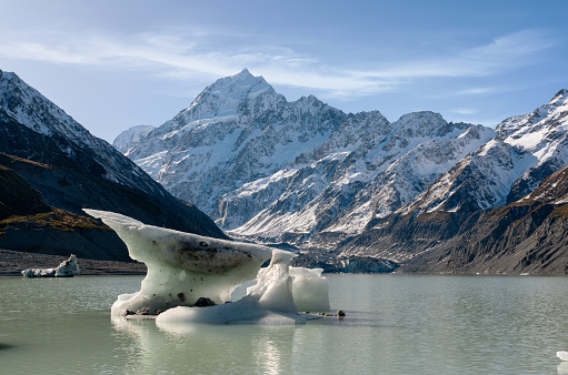 Icebergs float on the surface of beautiful Hooker Lake, whilst the snow-capped peak of Mt Cook looms majestically in the background.
