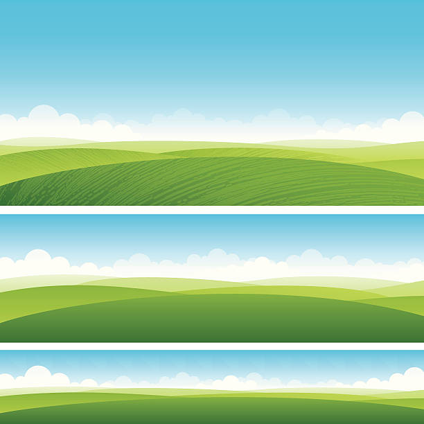 ilustraciones, imágenes clip art, dibujos animados e iconos de stock de panorámica de los campos de fondo - rolling landscape illustrations