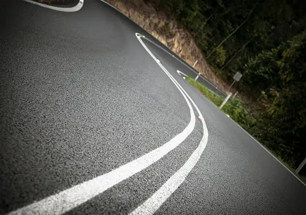 Photo of Winding Forest Road