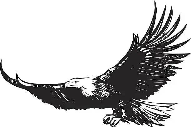 Vector illustration of Eagle n flight