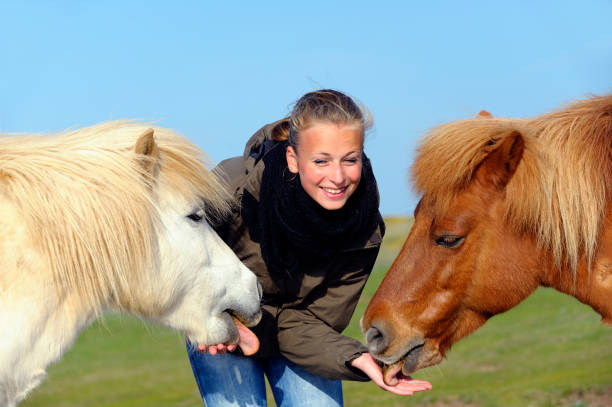 istock Young Girl With Shetland Ponys 165920367