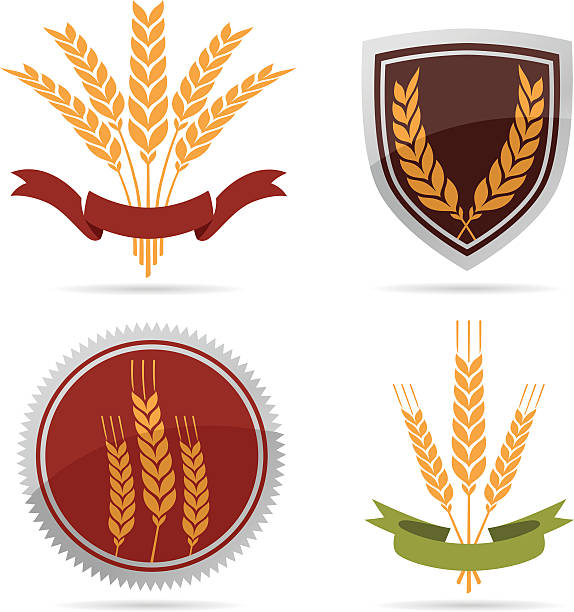 Wheat Wheat badges and symbols. insignia healthy eating gold nature stock illustrations