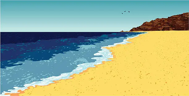 Vector illustration of beach with seagulls