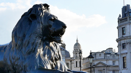 Trafalgar Square Lion Statue in London, England