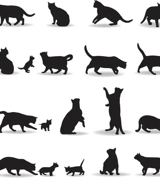 Vector illustration of Cat Silhouette