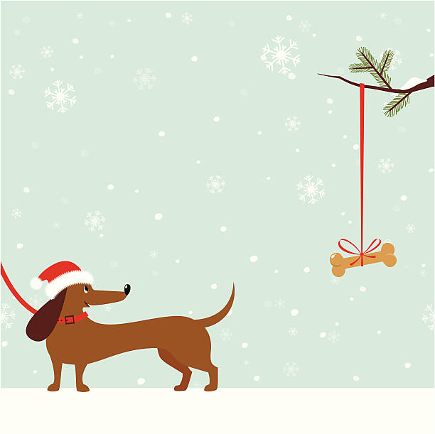 Dachshund dog with Santa Hat Happy Dachshund dog in Santa Hat looking at bone hanging on Christmas tree. Seamless snowflake background with copy space. dog with ribbon stock illustrations
