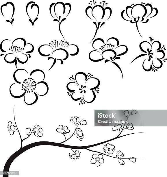 Flor De Ameixa - Arte vetorial de stock e mais imagens de Flor de ameixa - Flor de ameixa, Ramo - parte de uma planta, Asiático e indiano