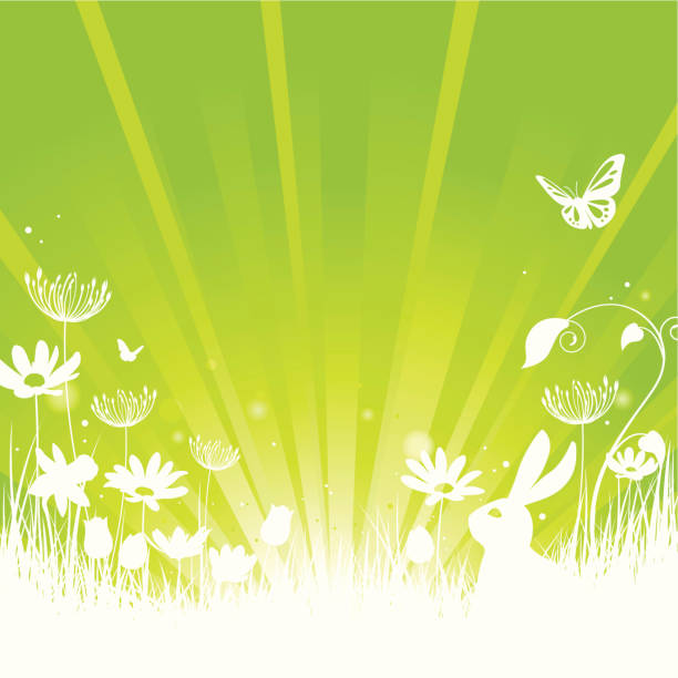 frühling und sommer-konzept in grün mit kaninchen und blumen & butterfly - daffodil flower silhouette butterfly stock-grafiken, -clipart, -cartoons und -symbole