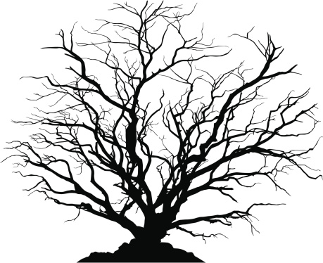Silhouette of a round shaped deciduous tree with no leaves. Ground below can be separated from the tree.