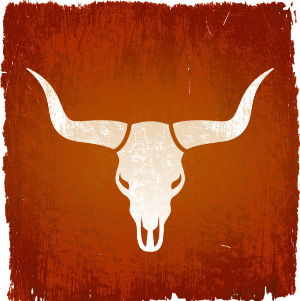 ilustraciones, imágenes clip art, dibujos animados e iconos de stock de longhorn de texas bull en vectoriales sin royalties de fondo - animal skull cow animals in the wild west