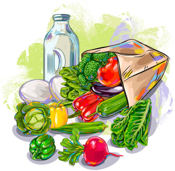 Fresh Vegetables Fresh Vegetables, all elemnts are in seperate layers and grouped. Please visit my portfolio for more options. radish art drawing stock illustrations