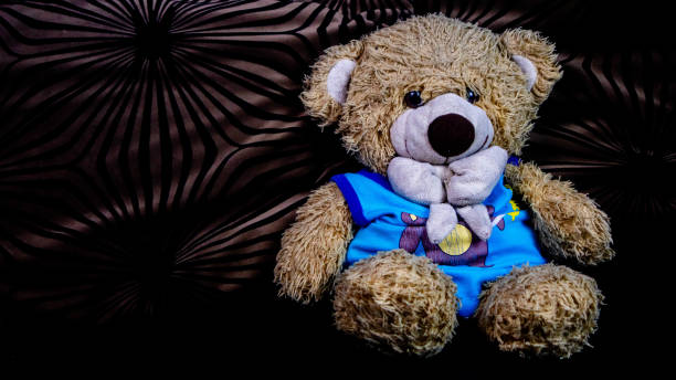 Small Teddy Bear
