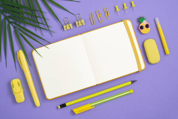 istock Empty notebook page with yellow pen, pins, clips and pineapple-shaped eraser 1659225072