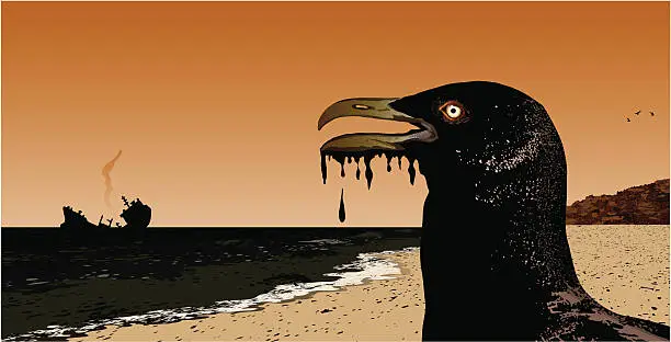 Vector illustration of oil spill with seagull
