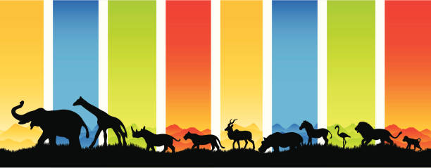 Many animals migrate in silhouette An illustration in silhouette to show many african animals in migration. These include an elephant, giraffe,rhinoceros, lion, lioness, antelope, hippopotamus, zebra, flamingo, and baboon. flamingo outline stock illustrations