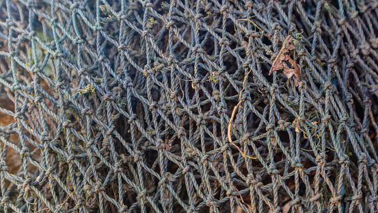 fish net texture as background