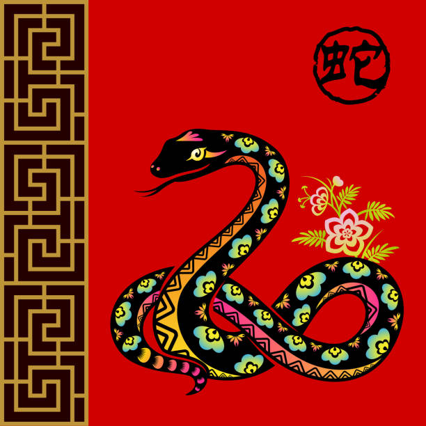 해 스네이크 - china chinese culture chinese script 2013 stock illustrations