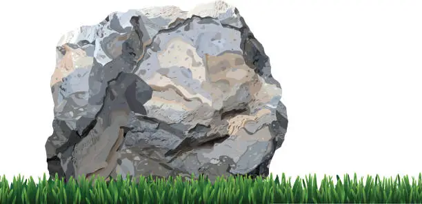 Vector illustration of stone in the grass