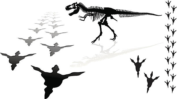 다이노소어-티라노사우르스렉스 - geologic time scale stock illustrations