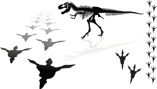 Dinosaur - Tyrannosaurus Rex. Tight silhouette of a Tyrannosaurus Rex skeleton and its footprints. Check out my “Dazzling Dinos” light box for more.