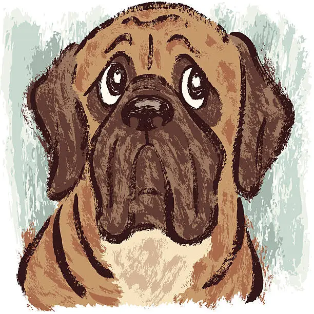 Vector illustration of Mastiff