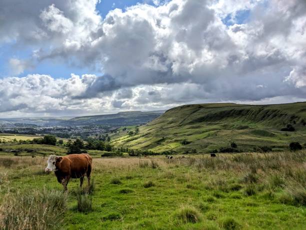 istock Tor Hill From The Musbury Valley 1659237787