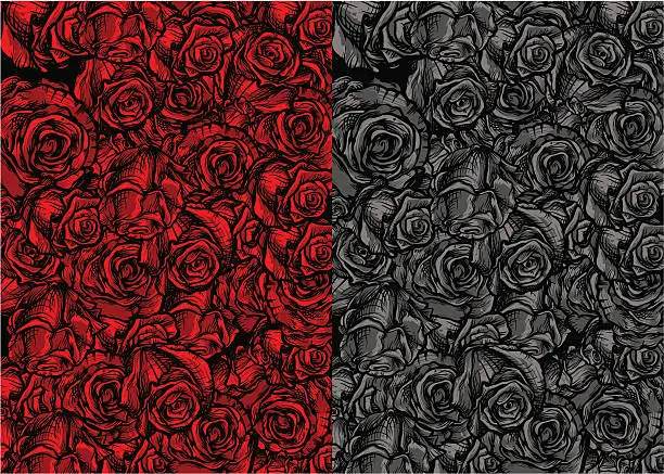 Vector illustration of Roses Background