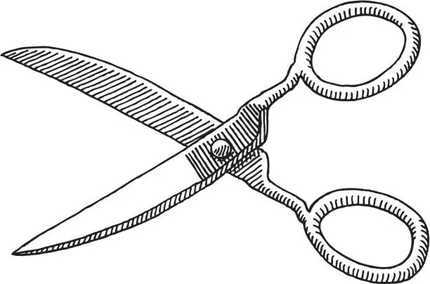 Vector illustration of Scissors Drawing