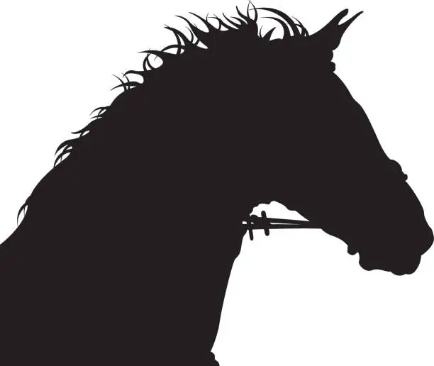 Vector illustration of Horse Head Silhouette