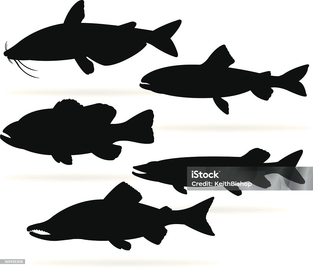 Poisson d'eau douce-Perche, Poisson-chat, la truite, le saumon, de Pike - clipart vectoriel de Silhouette - Contre-jour libre de droits