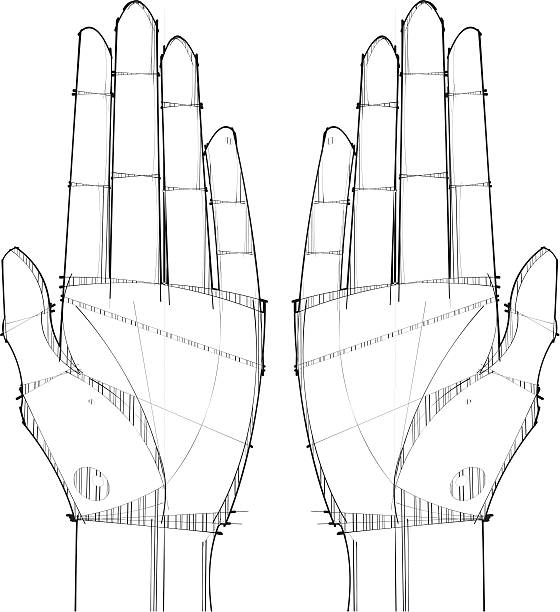 Open Palm Hands A left and a right hand with Open palms left handed catcher stock illustrations
