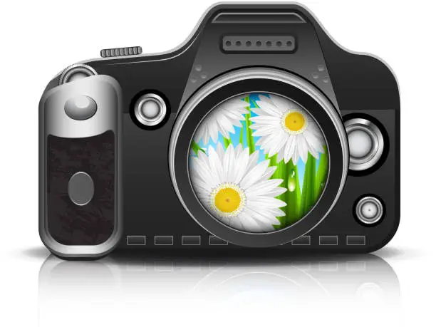 Vector illustration of Camera