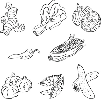 Eight sketch drawing of food . It includes vegetable, pepper, ginger, onion, sweet corn, peas and cucumber