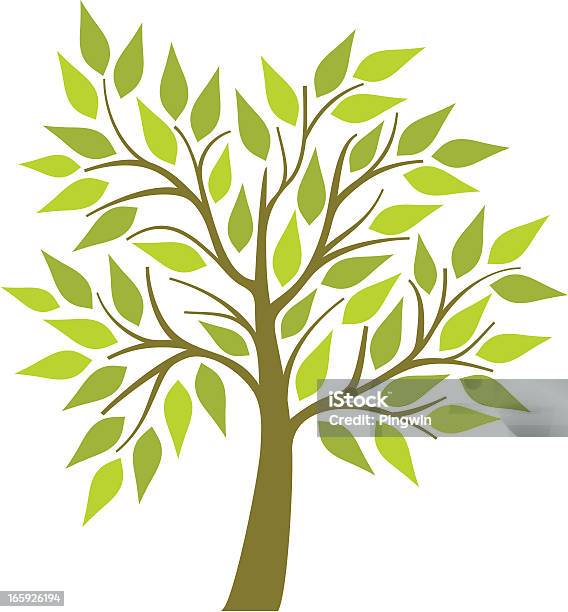 Árvore Com Verde Folhas - Arte vetorial de stock e mais imagens de Arbusto - Arbusto, Beleza natural, Botânica - Ciência de plantas