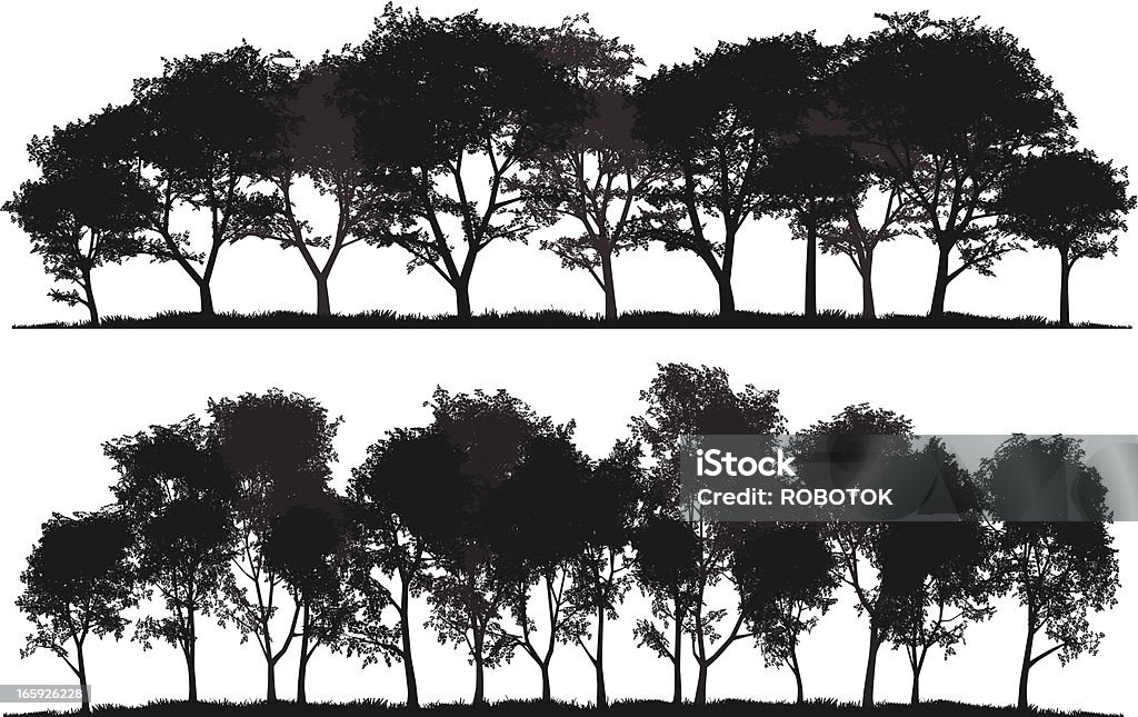 Siluetas detalladas de árboles - arte vectorial de Arce libre de derechos