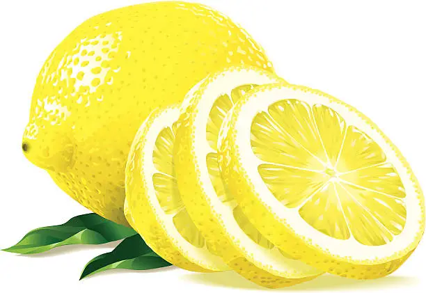 Vector illustration of Sliced lemon