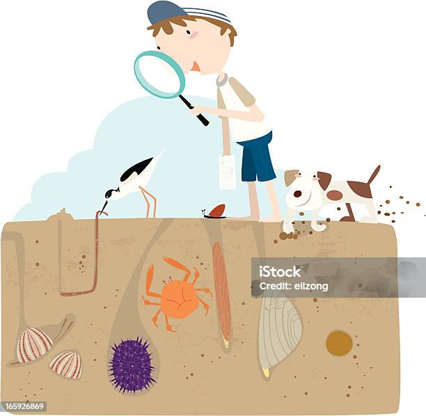 Ходьба На Песке — стоковая векторная графика и другие изображения на тему Копать - Копать, Съедобный моллюск - животное, Белое мясо
