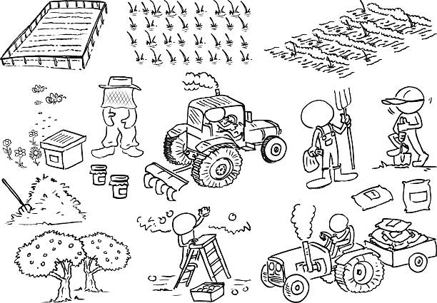 ilustraciones, imágenes clip art, dibujos animados e iconos de stock de rostro agricultor caracteres - plowed field field fruit vegetable