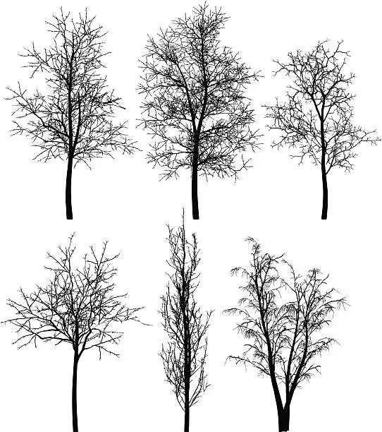Vector illustration of Collection of trees silhouettes