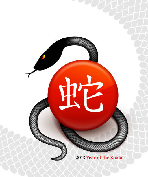 ilustrações de stock, clip art, desenhos animados e ícones de novo ano da serpente 2013 com 3d lettering chinês - snake 2013 chinese new year year