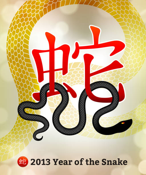 새로운 해 스네이크 2013 3d 중국 레터링 - china chinese culture chinese script 2013 stock illustrations