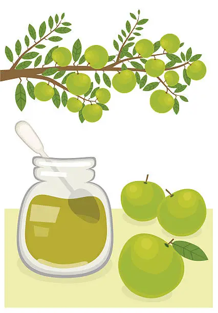 Vector illustration of Jam and Apples