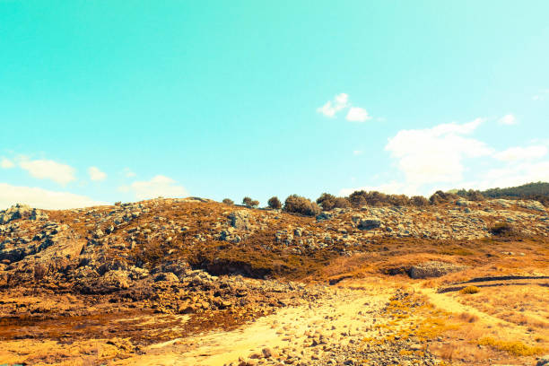 istock Rocky Mountain Hill Terrain in Summer with Trees and Sky 1659276317