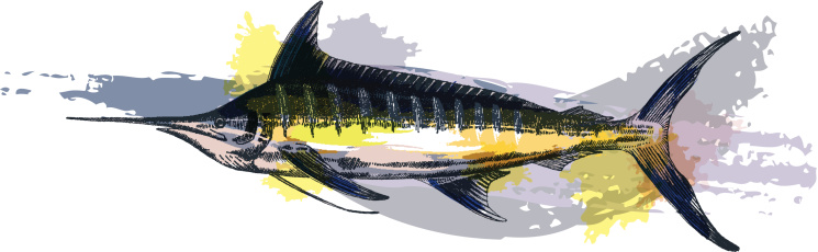 Grunge style blue marlin - vector illustration