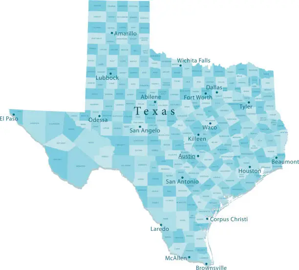 Vector illustration of Texas Vector Map Regions Isolated